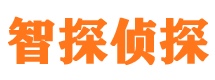 新野市婚姻出轨调查